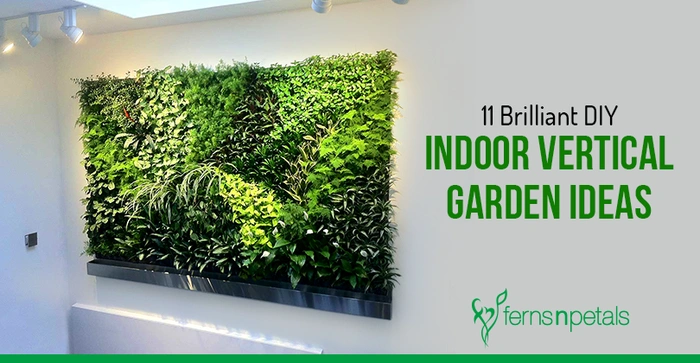 How To Build An Indoor Vertical Garden Step By Step Guide For Lush Living Walls