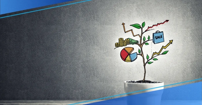 how to turn money into a successful startup without an idea