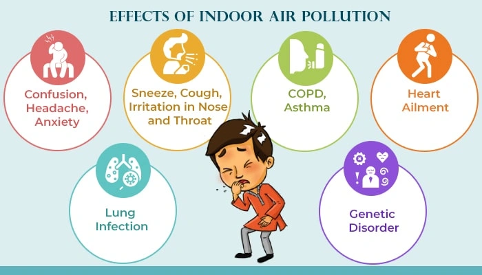 How To Improve Indoor Air Quality Naturally Simple Tips For A Healthier Home