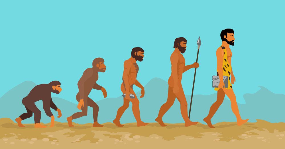 The Evolution Of Humans How Homo Sapiens Developed On Earth