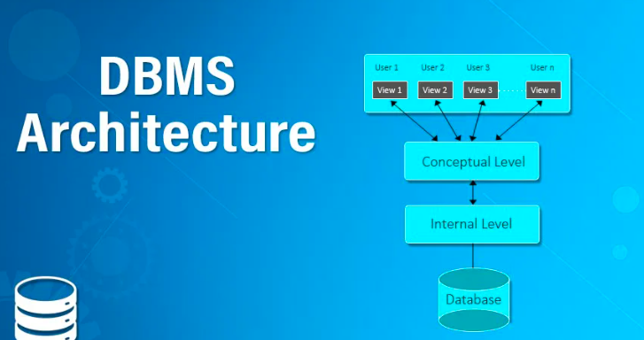 how databases work architecture types and data management explained