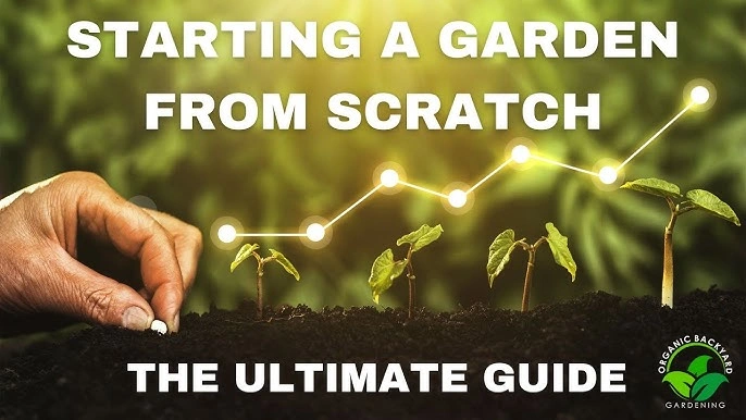 how to start a vegetable garden from scratch the ultimate beginner s guide