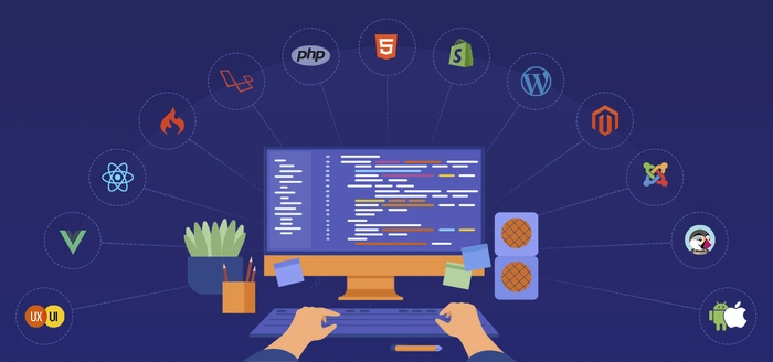 How To Choose The Best Professional Website Developer For Your Business