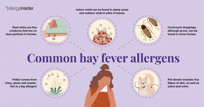 How To Prepare For Seasonal Allergies Naturally Effective Tips For Lasting Relief