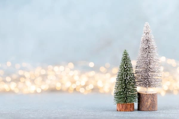 No Tree No Lights Just Love The Minimalist Christmas