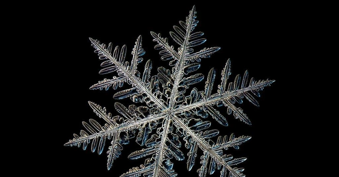How Snowflakes Teach Us The True Spirit Of Christmas