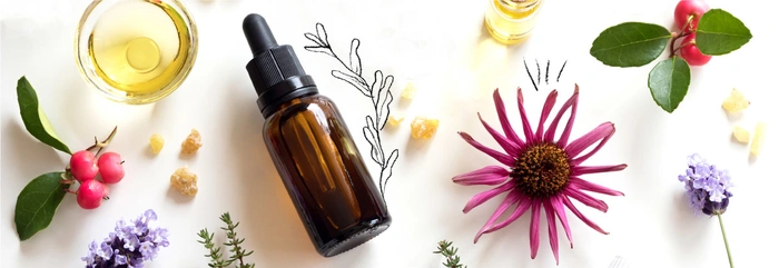 How To Use Essential Oils Safely At Home A Complete Guide For Beginners