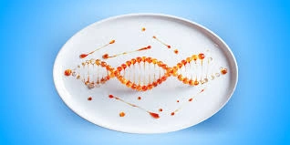 Dna Based Diets How Personalized Nutrition Will Replace Fitness Plans In 2026