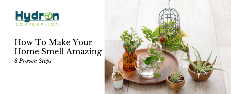 how to make your home smell amazing naturally proven tips for a fresh living space